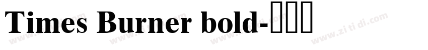 Times Burner bold字体转换